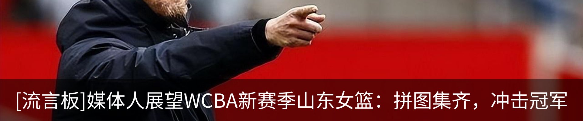 新闻动态